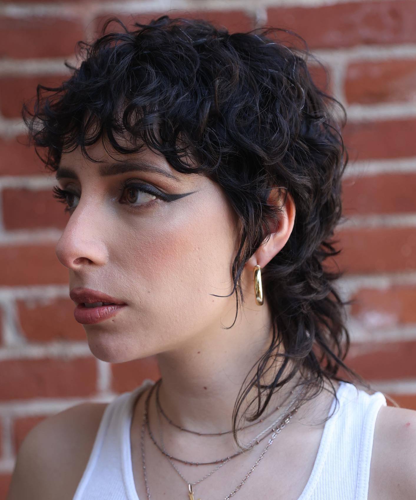 Short Curly Wolf Cut Trendy Short Mullet for Curly Strands