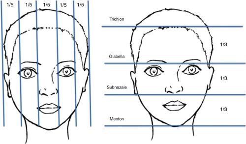 Face Proportions Analysis