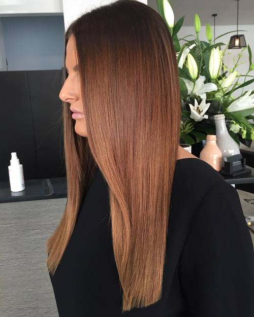 Brown Sombre for Long Hair